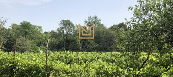 5-Zimmer Haus in Asolo, Italy, Nr. 232895 8