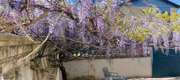 7 rooms Apartment in Livorno, Italy No. 43479 2