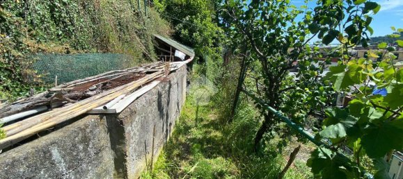 3غرفة شقة في Genoa, Italy رقم 8290 47