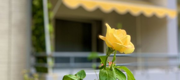 1 bedroom Apartment in Kiel, Germany No. 57605 7