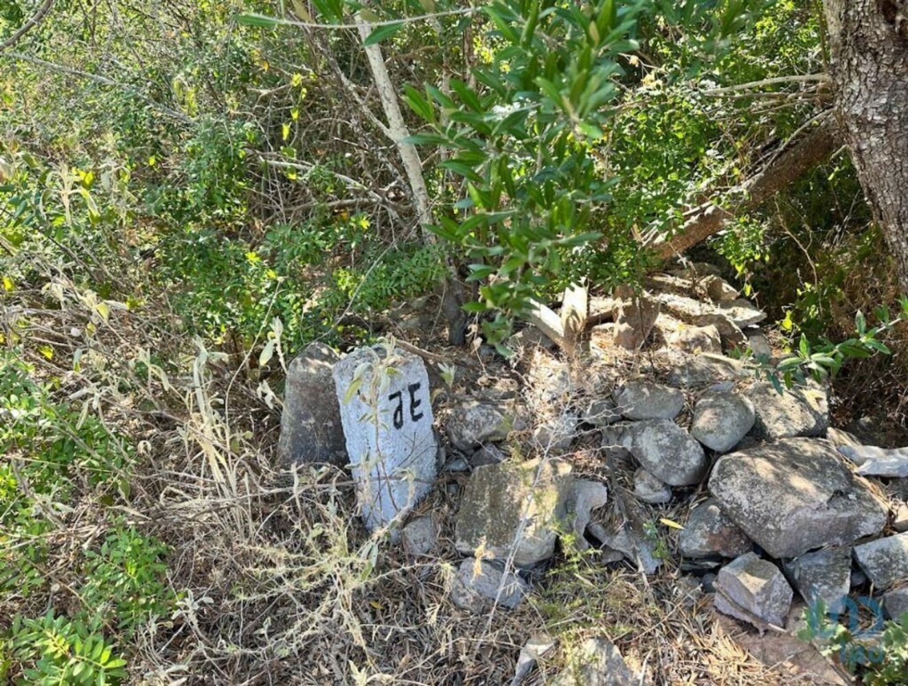 5570m² Land in Tavira, Portugal No. 305088