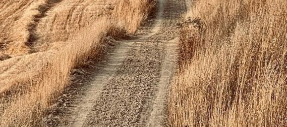 7-Zimmer Haus in Monteroni d'Arbia, Italy, Nr. 159174 25