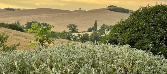 7-Zimmer Haus in Monteroni d'Arbia, Italy, Nr. 159174 23