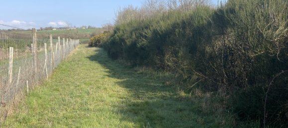  Land in La Dominelais, France No. 298315 5