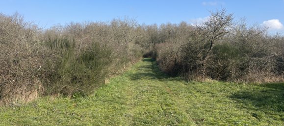  Land in La Dominelais, France No. 298315 8