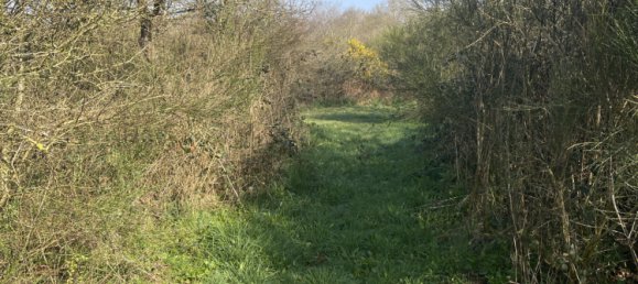  Land in La Dominelais, France No. 298315 6