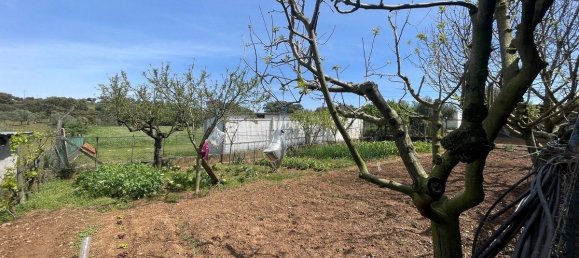 3 bedrooms Villa in Montemor o Novo, Portugal No. 107770 28