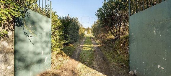 5 bedrooms House in Canas de Santa Maria, Portugal No. 164425 35