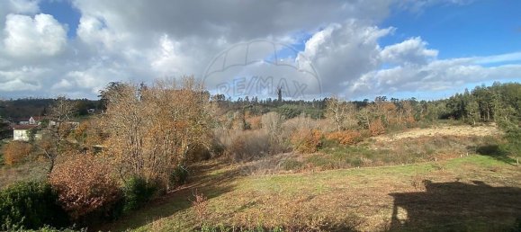 5 bedrooms House in Canas de Santa Maria, Portugal No. 164425 29