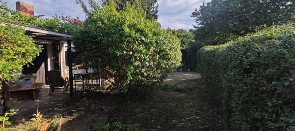  قطعة أرض في Mecklenburgische Seenplatte, Germany رقم 333295 12