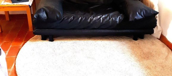  قطعة أرض في Mecklenburgische Seenplatte, Germany رقم 333295 5