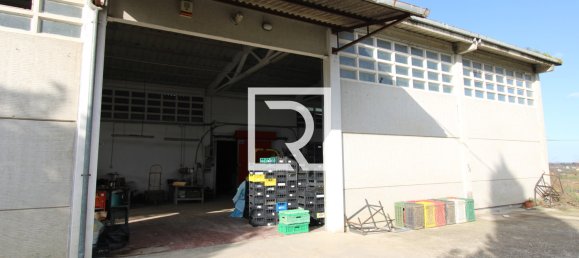 Warehouse in Savignano sul Rubicone, Italy No. 220144 4