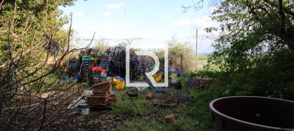 Warehouse in Savignano sul Rubicone, Italy No. 220144 18