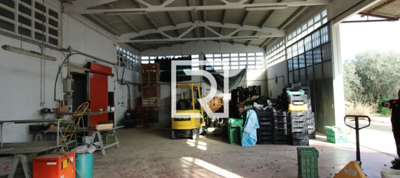 Warehouse in Savignano sul Rubicone, Italy No. 220144 6