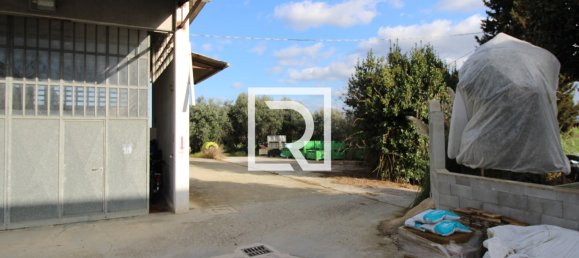 Warehouse in Savignano sul Rubicone, Italy No. 220144 2