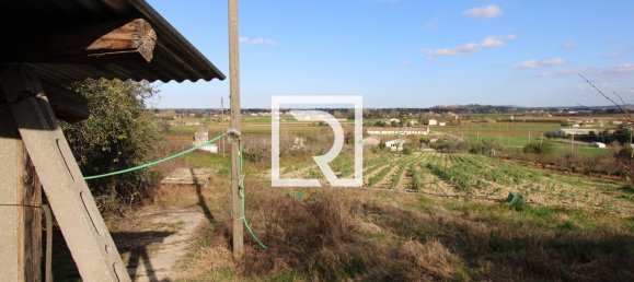 Warehouse in Savignano sul Rubicone, Italy No. 220144 20