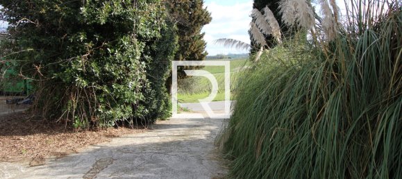 Warehouse in Savignano sul Rubicone, Italy No. 220144 3