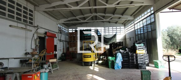 Warehouse in Savignano sul Rubicone, Italy No. 220144 7