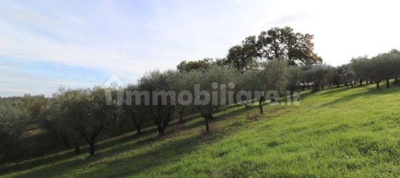 5 rooms House in Siena, Italy No. 141319 8