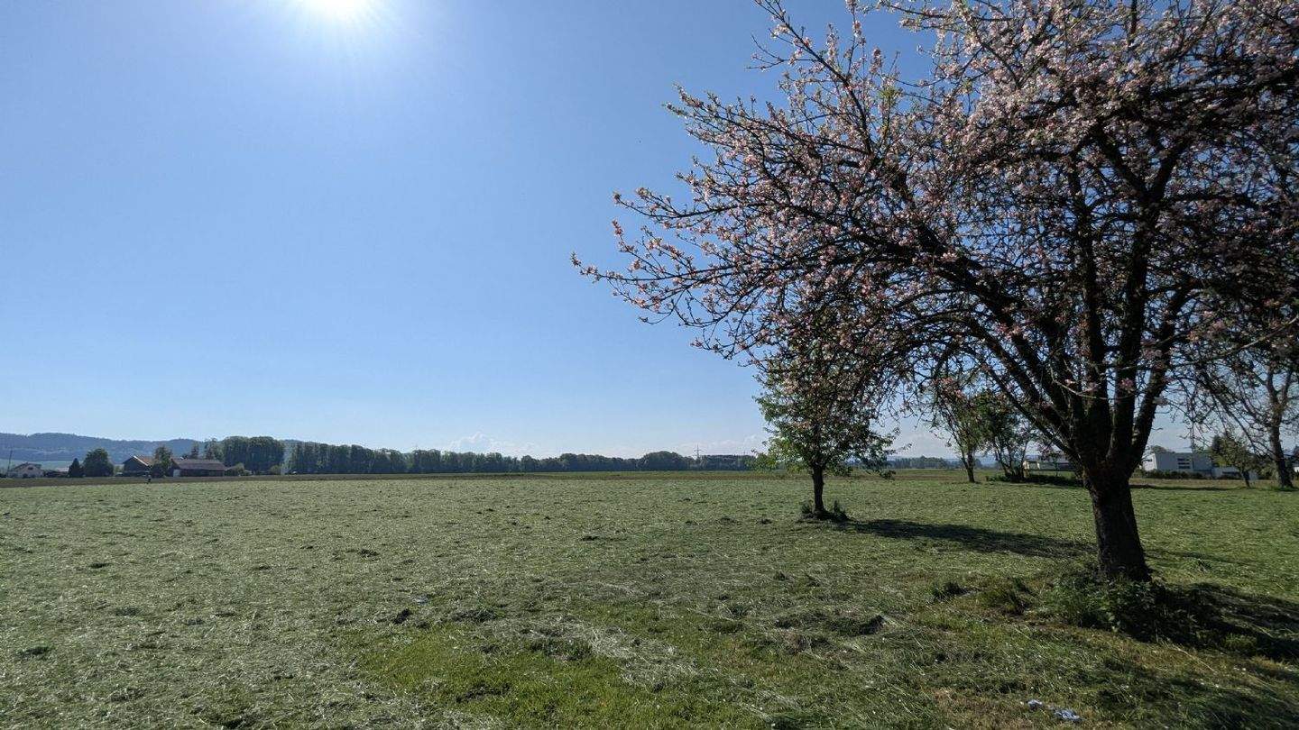  قطعة أرض في Pfaffstatt, Austria رقم 213368