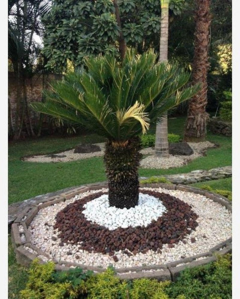 3 غرف نوم منزل في Jiutepec, Mexico رقم 183154