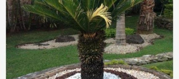 3 غرف نوم منزل في Jiutepec, Mexico رقم 183154 2