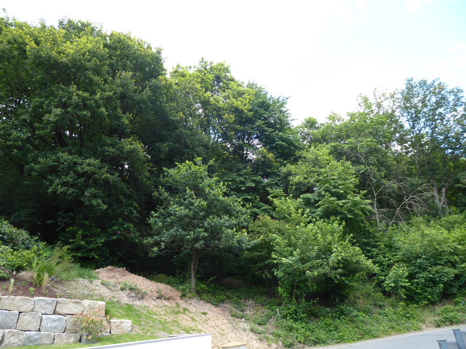 Terreno em Miltenberg, Germany N.º 155672