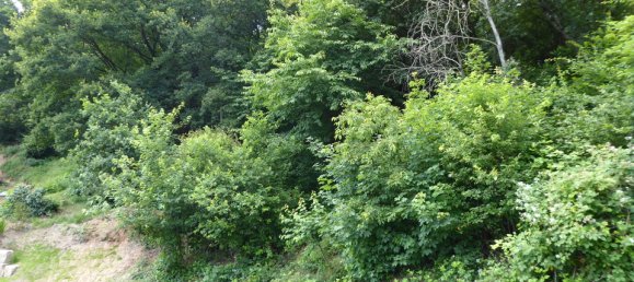 Terreno em Miltenberg, Germany N.º 155672 2