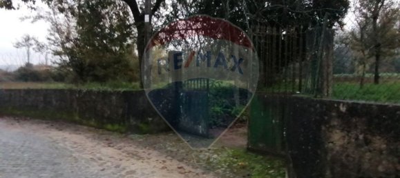 1 chambre Maison à Braga, Portugal No. 23565 5