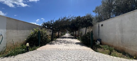 5 bedrooms Villa in Corinthia, Greece No. 2279 27