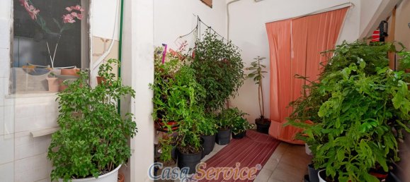 4-Zimmer Haus in Matino, Italy, Nr. 234528 18