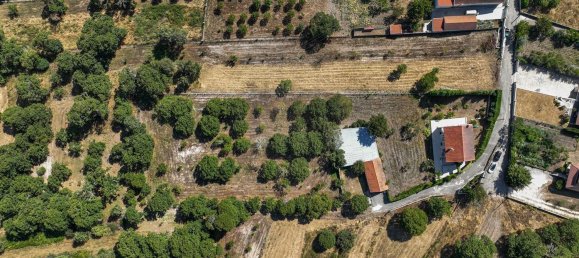 6 bedrooms House in Montalegre, Portugal No. 188492 15