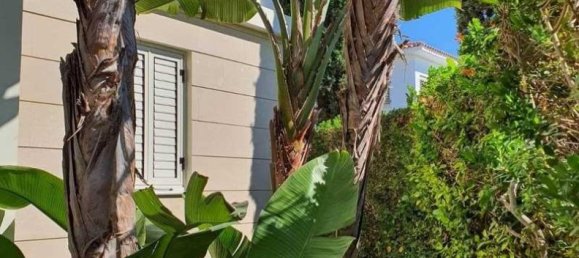 Villa T5 em Pyla, Cyprus N.º 81256 3