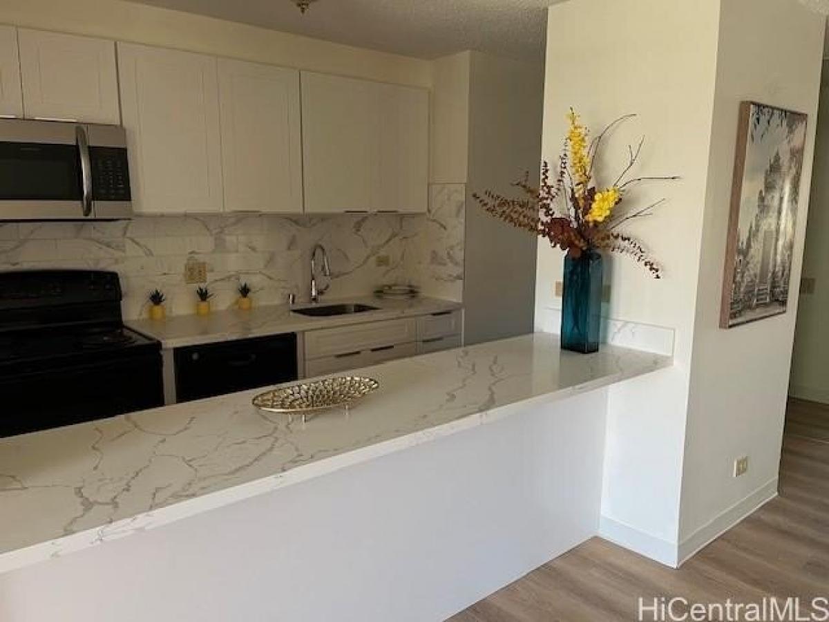 Studio in Honolulu, USA No. 397534