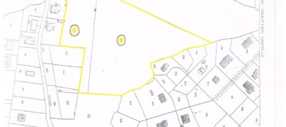 Grundstück in Pedara, Italy 20000m², Nr. 104188 2