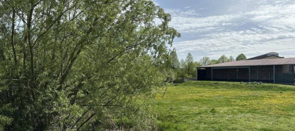 190m² Warehouse in Heldenberg, Austria No. 251477 29