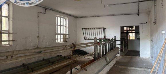 190m² Warehouse in Heldenberg, Austria No. 251477 16