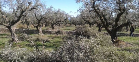 terreno en venta en Zakynthos, Ionian Islands, Peloponnese, Western Greece and the Ionian, Greece № 788 4