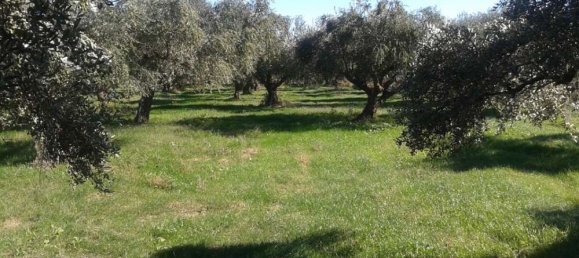 terreno en venta en Zakynthos, Ionian Islands, Peloponnese, Western Greece and the Ionian, Greece № 788 8