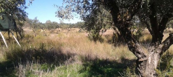terreno en venta en Zakynthos, Ionian Islands, Peloponnese, Western Greece and the Ionian, Greece № 788 7