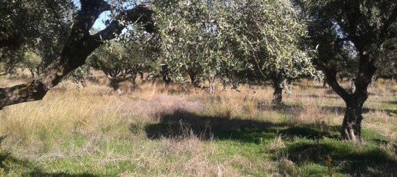 terreno en venta en Zakynthos, Ionian Islands, Peloponnese, Western Greece and the Ionian, Greece № 788 6