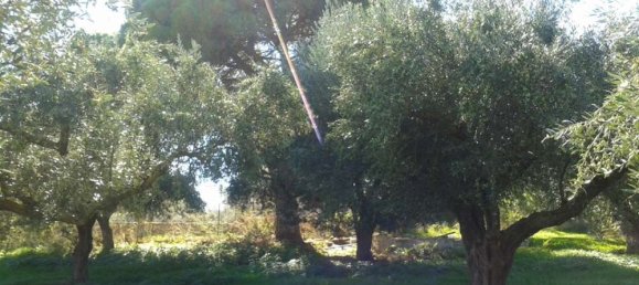 terreno en venta en Zakynthos, Ionian Islands, Peloponnese, Western Greece and the Ionian, Greece № 788 3