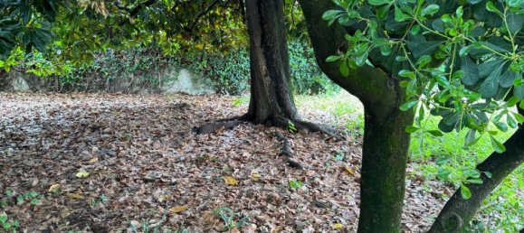 5-Zimmer Villa in Montegrotto Terme, Italy, Nr. 300843 6