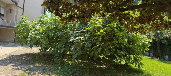 5-Zimmer Villa in Montegrotto Terme, Italy, Nr. 300843 3