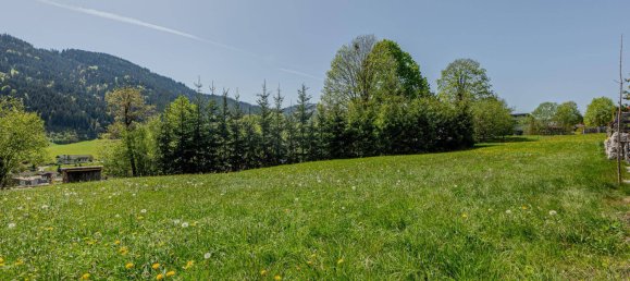  Land in Going am Wilden Kaiser, Austria No. 114182 4