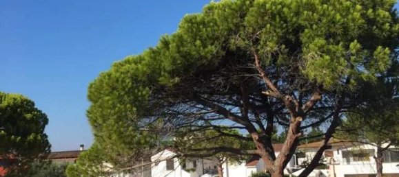 4 rooms House in Lecce, Italy No. 124616 3