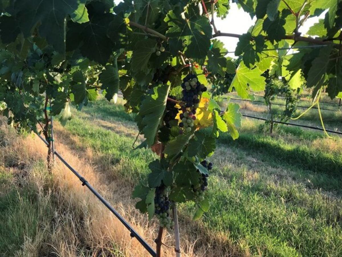 2 chambres Maison à Comanche, USA No. 400961