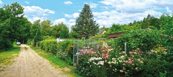 Grundstück in Vorpommern-Rügen, Germany, Nr. 226861 4