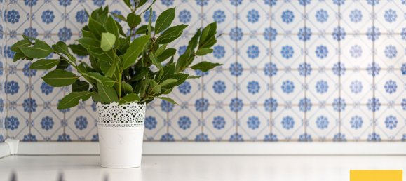 6 bedrooms Apartment in Palermo, Italy No. 317966 22