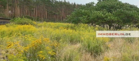 Grundstück in Dahme-Spreewald, Germany, Nr. 245768 3